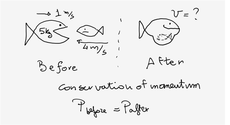 A 5-kg fish swimming at a speed of 1 m/s swallows an absent-minded 1-kg fish at rest-example-1