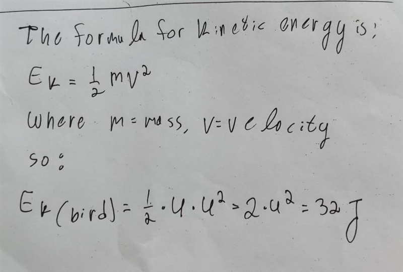 A 4 kg bird is flying with a velocity of 4 m/s. What is it's kinetic energy?​-example-1