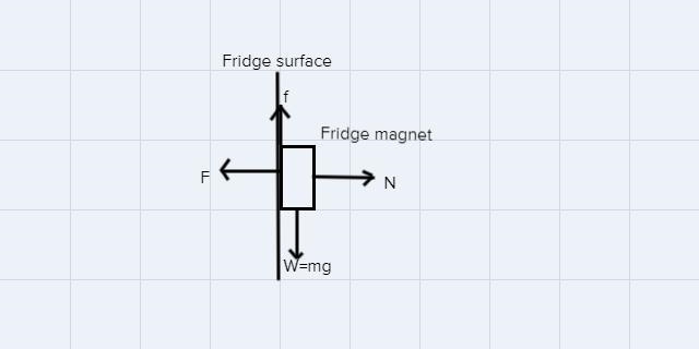 A 20 g fridge magnet is being held onto a fridge by a 0.9 N force. Assuming μs = 0.30, calculate-example-1