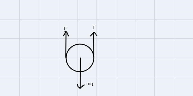 You want to lift a heavy box with a mass L = 64.0 kg using the two-ideal pulley system-example-1