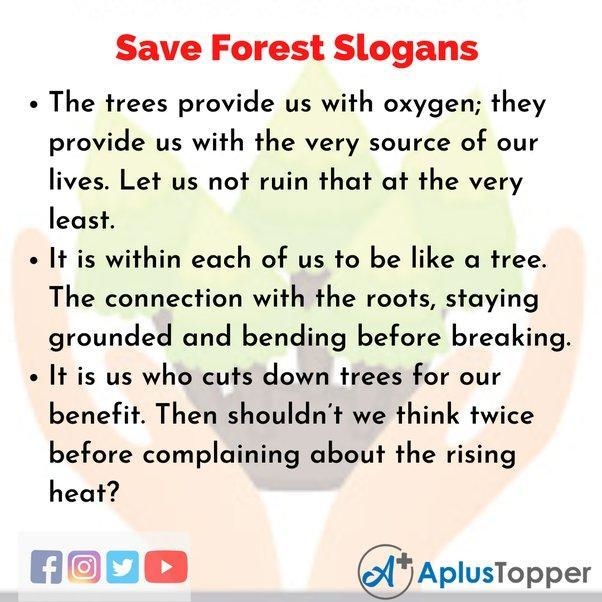 What should be done to protect forest ?​-example-4