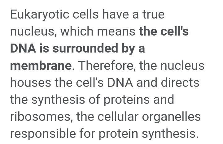 Which characteristics describe whether a cell contains a nucleus?.-example-1