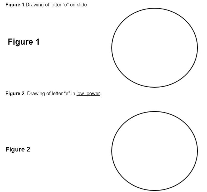 while observing under low power, move the slide from the left to the right. when you-example-1