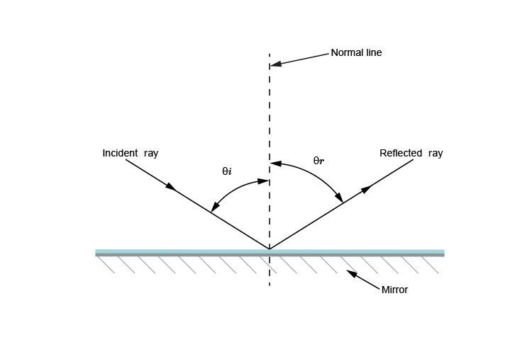 What is the name of the side of angle x-example-1