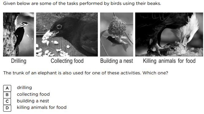 The trunk of an elephant is also used for one of these activities which one?-example-1