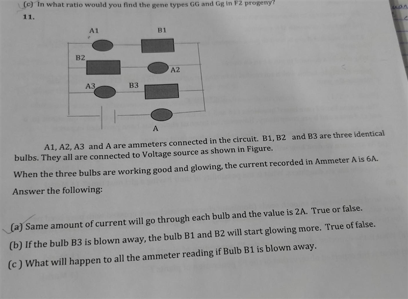 Please solve this question.​-example-1