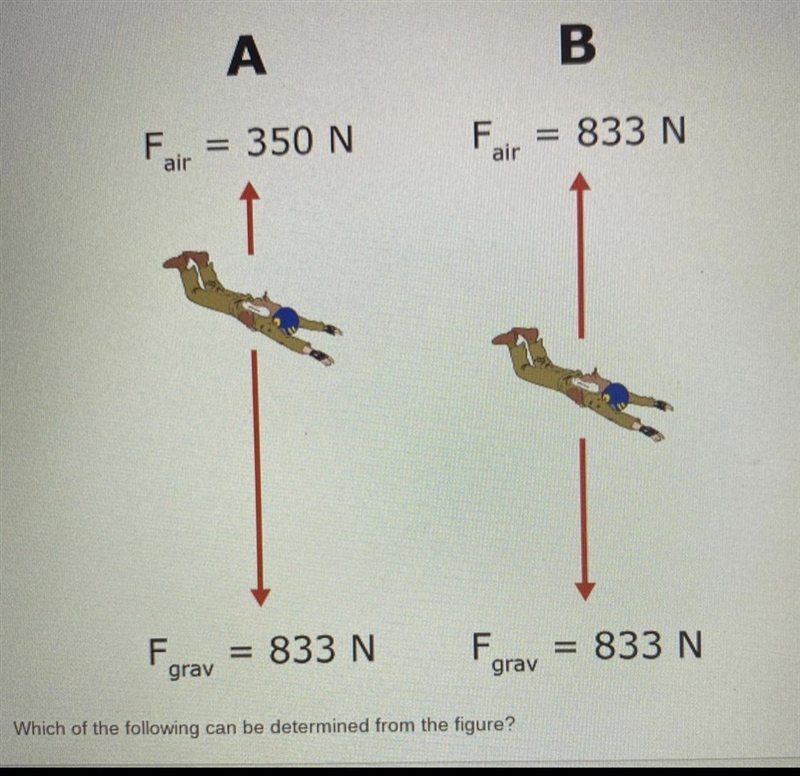 A. Driver A falls the greatest distance. B. Diver B falls the greatest distance. C-example-1