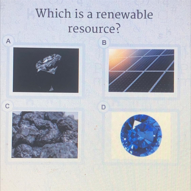 *picture choice question* Which is a renewable resource?-example-1