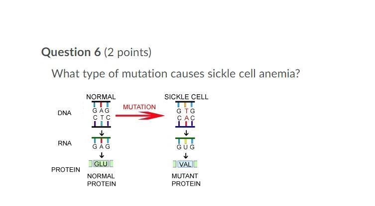 Answer choices: A. insertion B. deletion C. silent substitution D. missense substitution-example-1