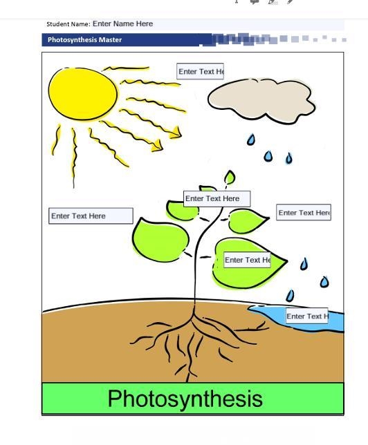 PLEASE HELP!!!! Photosynthesis Assignment. Now that you have learned about photosynthesis-example-1