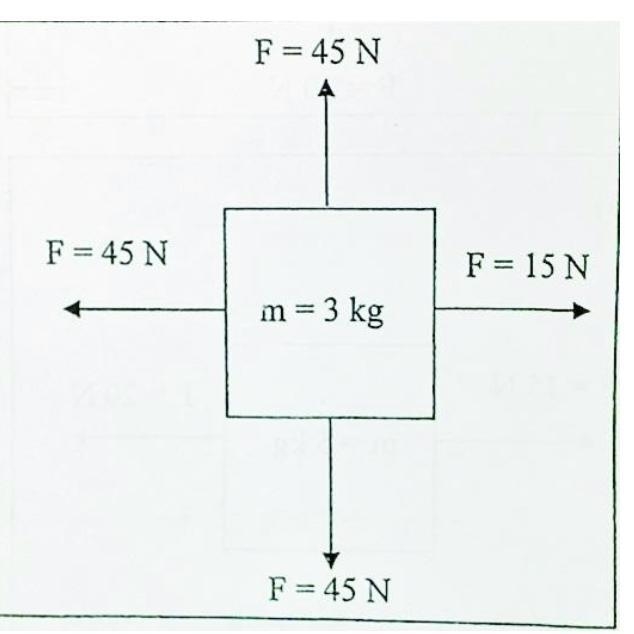 Find the magnitude and direction of the net force being acted on the free body diagram-example-1