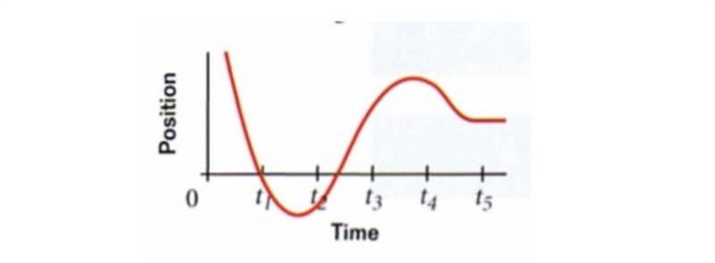 The position-time graph for a bug crawling along a line is shown in the figure below-example-1