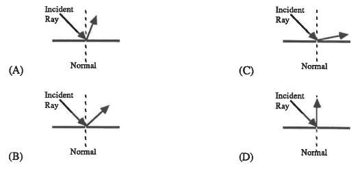 Which picture below shows the correct light path for a reflected light ray?Select-example-1