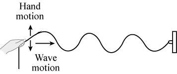 I need HELP What kind of wave is produced, if a rope is moved as shown in the image-example-1