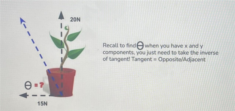 What is the direction of the net force acting on an the plant that is experiencing-example-1