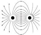 28. The needle of a compass points towards Earth’s ___________________ Pole.-example-1