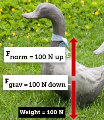 Why does the arrow labeled F norm point upward? A. Gravity pushes up. B. Air resistance-example-1