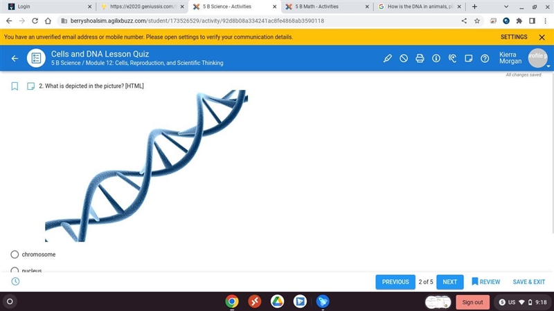 Chromosome nucleus cell DNA-example-1