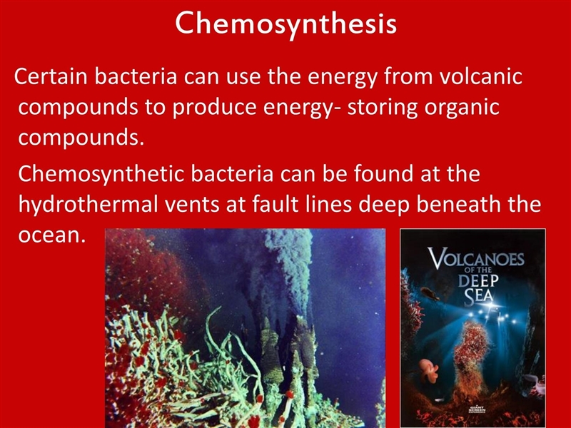 Which compound can provide the energy for chemosynthesis.-example-1