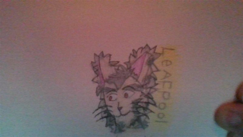 This is my pictures of leafpool and jayfeather-example-2