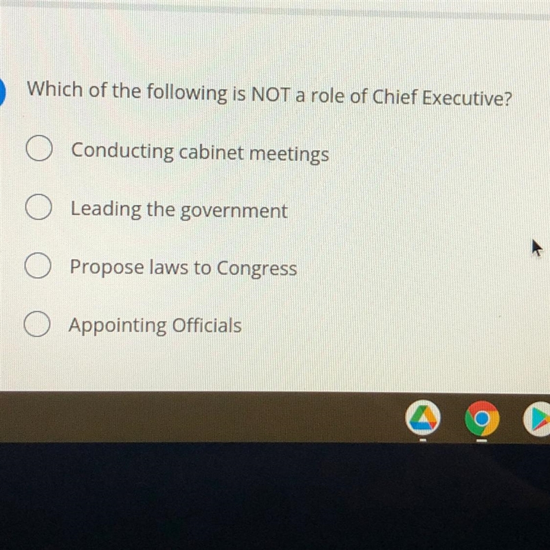 Which of the following is NOT a role of Chief Executive?-example-1