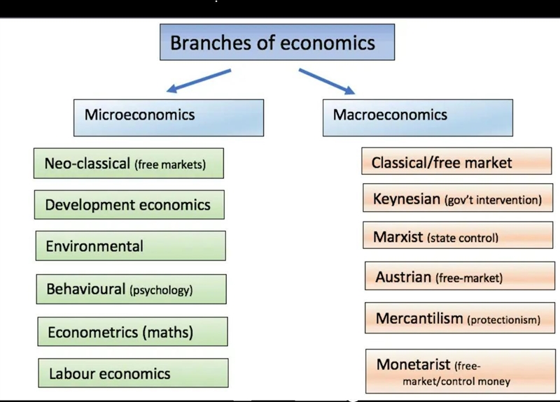 What are the to majer branchs of economics​-example-1