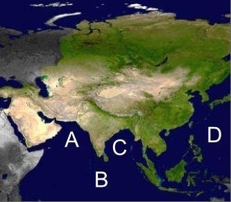 Image courtesy of NASA Where is the Arabian Sea located on the map above? A. Letter-example-1