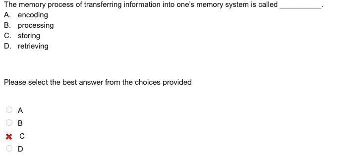 The memory process of transferring information into one’s memory system is called-example-1