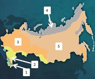 HURRY!! ≧ ﹏ ≦ The climate region labeled with the number one on the map above is __________. A-example-1