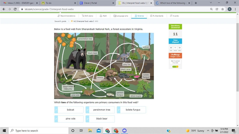 Which two of the following organisms are primary consumers in this food web?-example-1