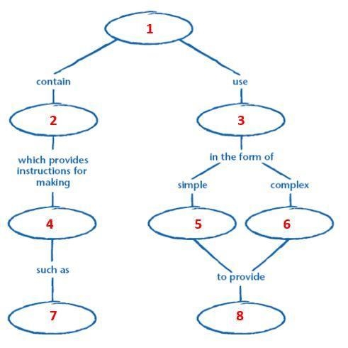 I need help with this concept map and fast-example-1