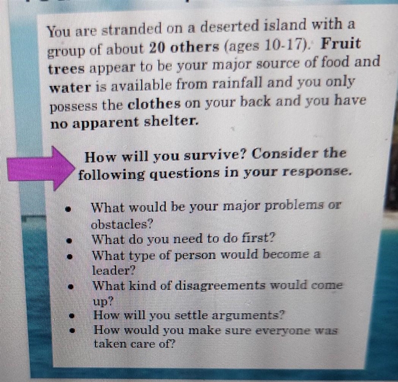 You are stranded on a deserted island with a group of about 20 others (ages 10-17). Fruit-example-1