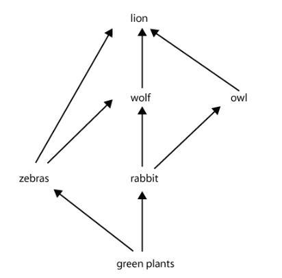 If these organisms were arranged in an ecological pyramid, which level would retain-example-1