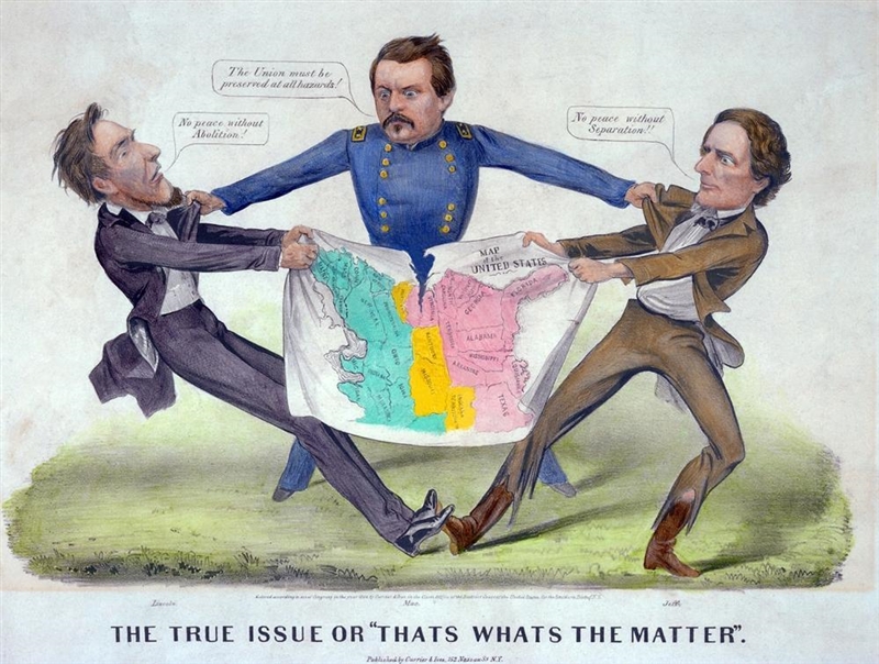 In the discussion board titled The Election of 1860, analyze this political cartoon-example-1