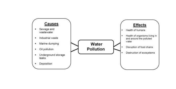 Brainstorm potential causes and effects of three environmental issues: Flooding Air-example-1