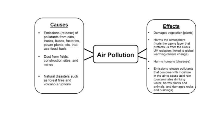 Brainstorm potential causes and effects of three environmental issues: Flooding Air-example-2