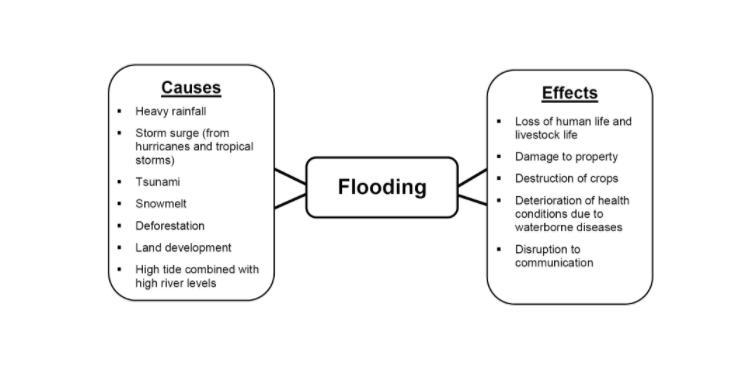 Brainstorm potential causes and effects of three environmental issues: Flooding Air-example-3