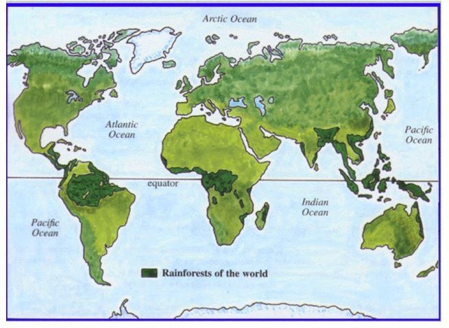 Which statement BESET explains the location of rainforests? 1: Rainforests grow near-example-1