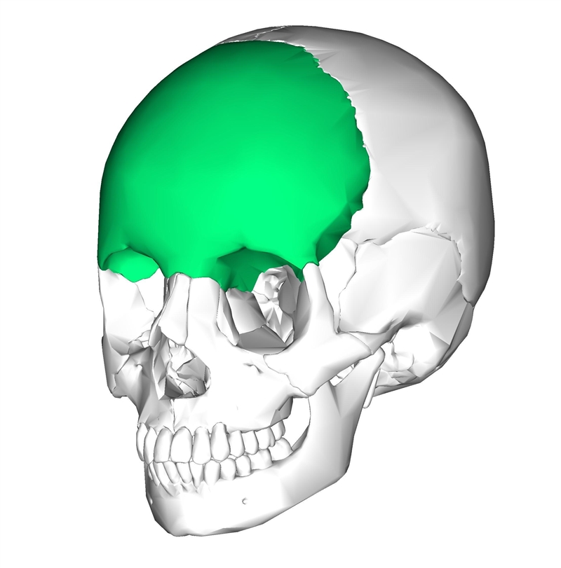 Frontal: Ayuda Porfavor es para hoy ​-example-1