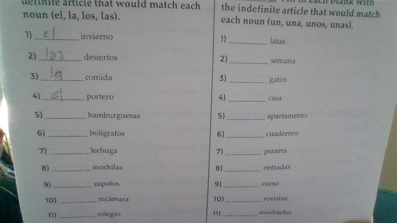 PRACTICE: Definite and Indefinite Articles 1-20-example-1