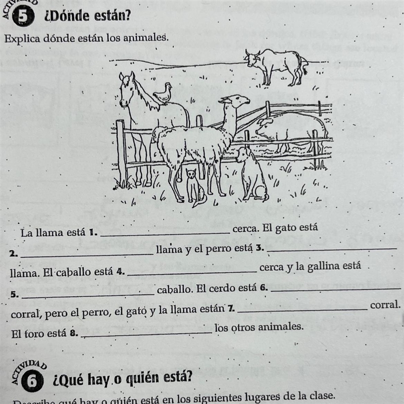 Explica dónde estan los animales.-example-1