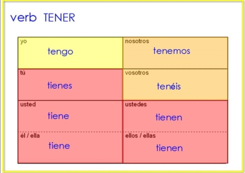 Escribe la forma correcta de TENER. 1. Elena ______ muchos primos. 2. Sus amigos _____ muchas-example-1