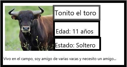 Elabora en tu cuaderno una identificación para tu vecino toro con su nombre fotografia-example-1