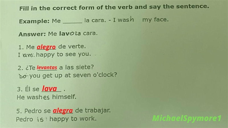 Fill in the correct form of the verb and say the sentence.-example-1