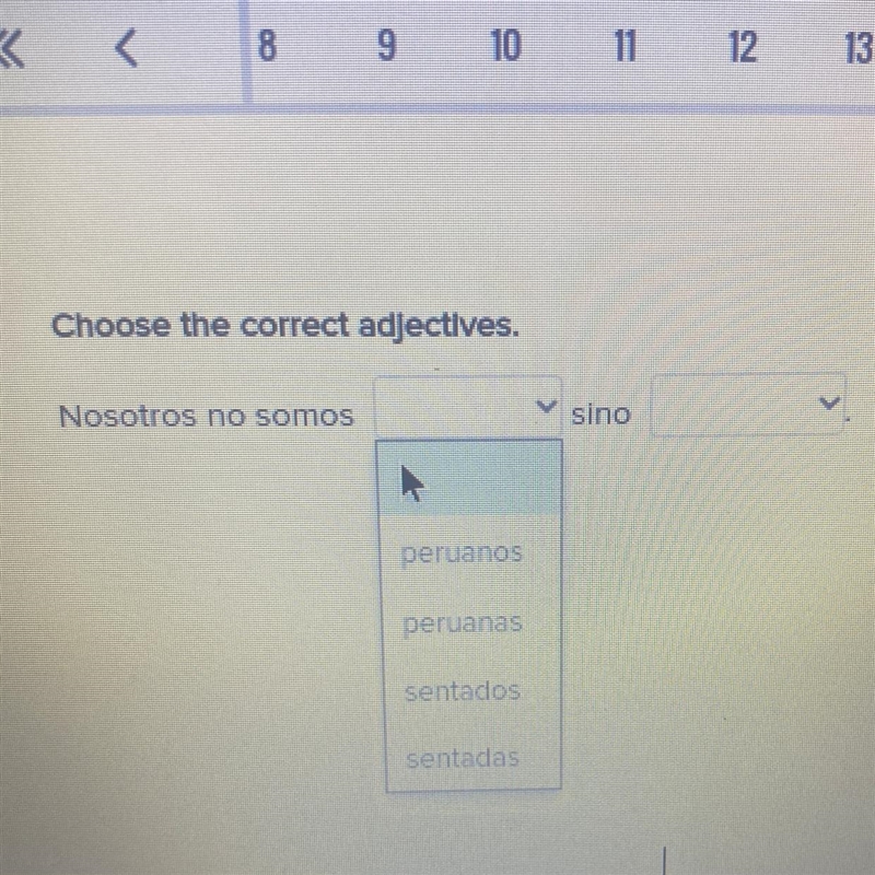 Choose the correct adjectives. Second blank options:Bolivians, Bolivianons, Boliviano-example-1