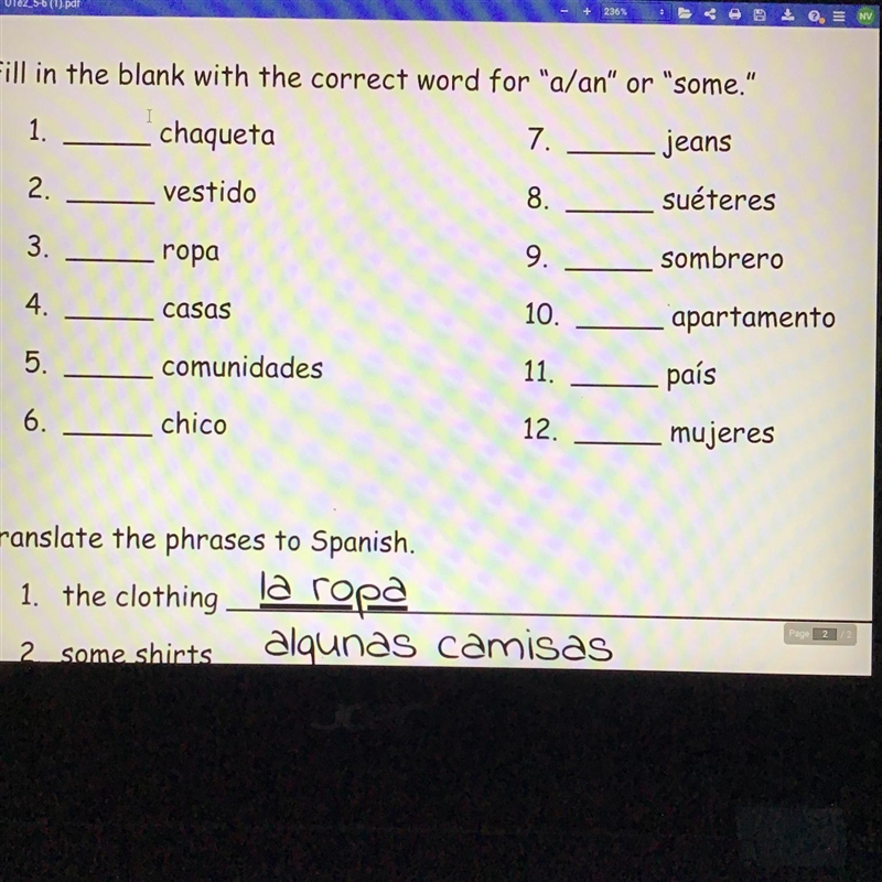 Fill in the blank with the correct word for “a/an” or “some”-example-1