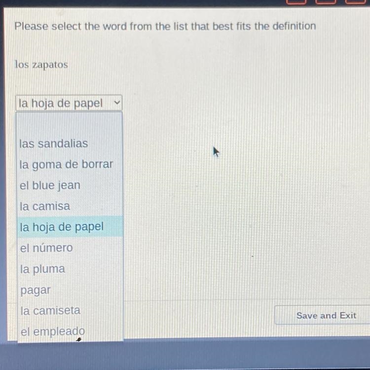 Please select the word from the list that best fits the definition los zapatos-example-1