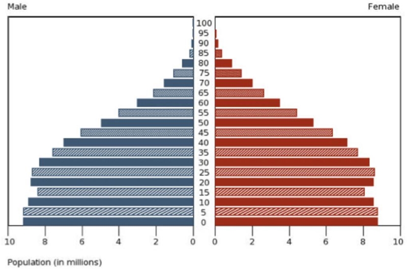 According to this population pyramid, what current social issue is MOST LIKELY to-example-1