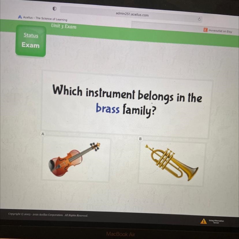 Which instrument belongs in the brass family?-example-1