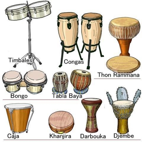 Which instrument listed below is an example of membranephone-example-1